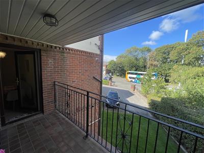 Picture 17
